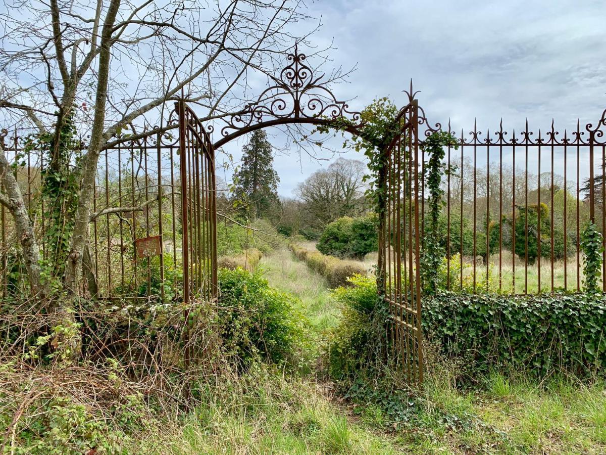 Chateau De Freschines Villefrancoeur Bagian luar foto