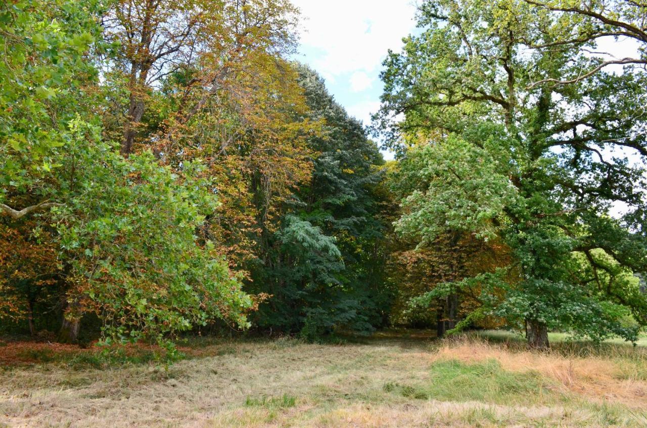 Chateau De Freschines Villefrancoeur Bagian luar foto
